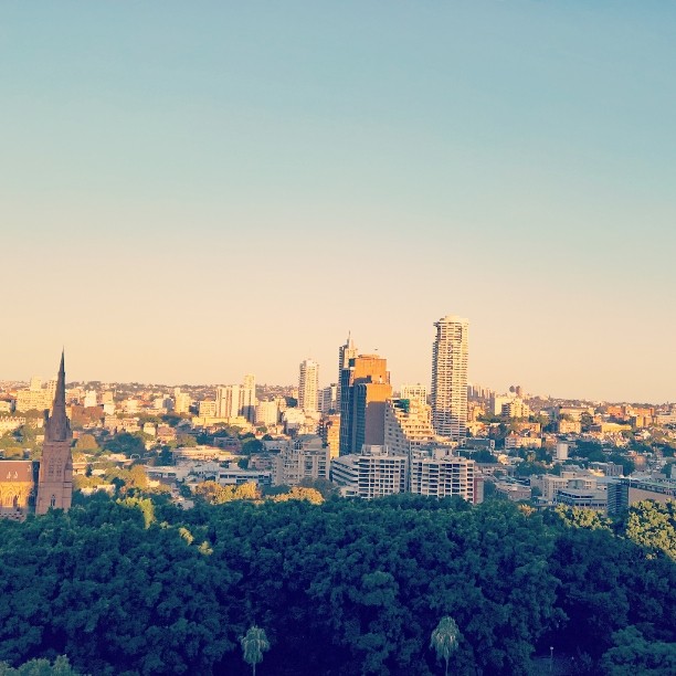 #View from the #Sheraton in #Sydney #CBD.  Why can I never get the #horizon line to be straight with this #phonecamera?