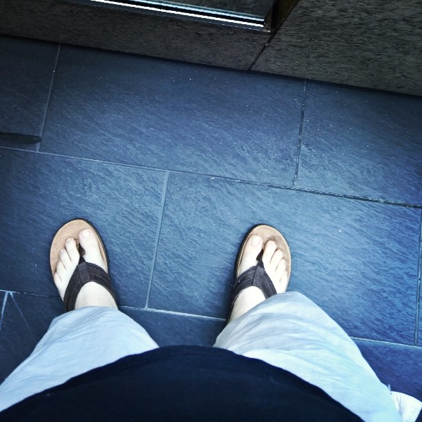 The other day I was ice fishing in #Winthrop, today I'm wearing #shortsandsandals in #Sydney.  I'm #notsure what to make of it...