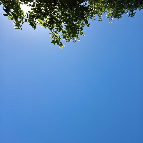 #blue #Sydney #sky #today  #blueedgetoedge #99F #reallyhot