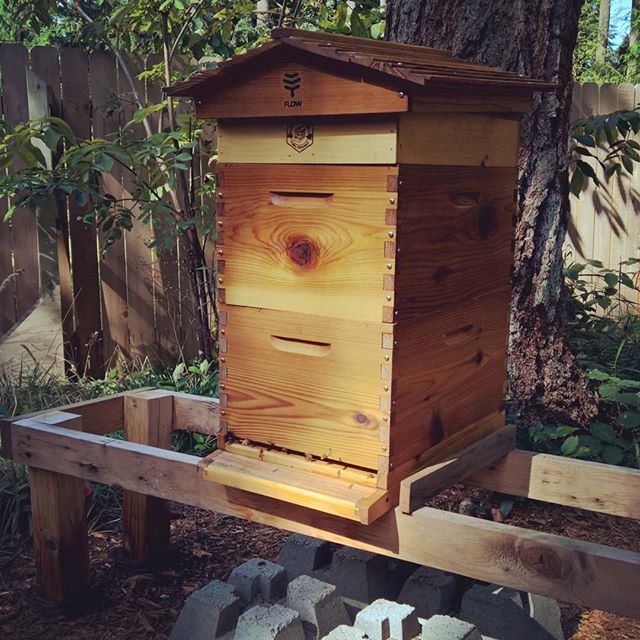 One of my favorite places in the world.  #beekeeping #honeyflow #galeestates