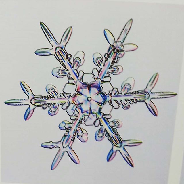 #snowflake #designbynature #inteligentdesign #design #ice #notmanmade