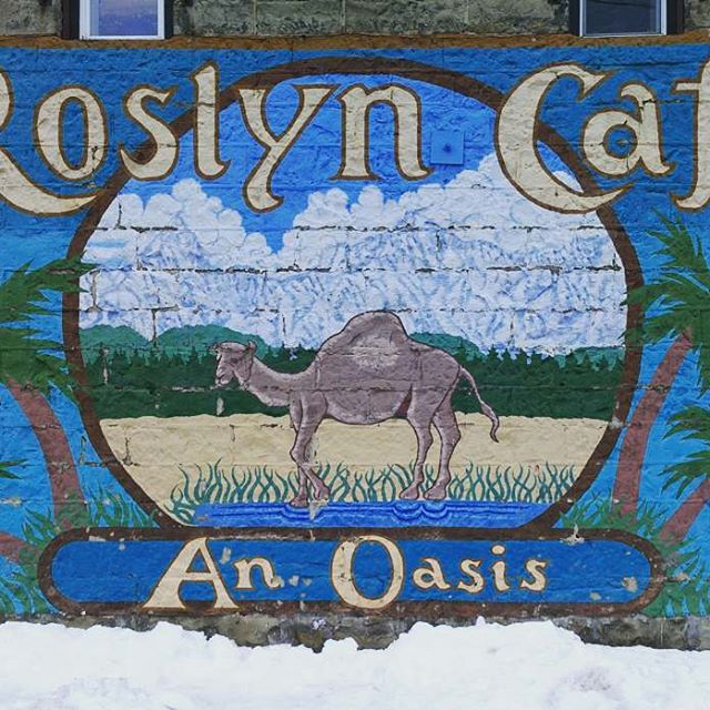 #roslyncafe #Roslyn #streetart #artvertising #oasis #design