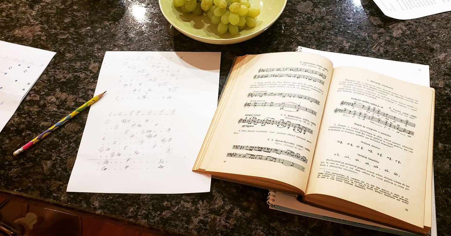 #Learning  a bit of #musictheory #myway.  @ancagale's #patience is however, #runningthin.  Clearly my music theory is not her #musictherapy. :)