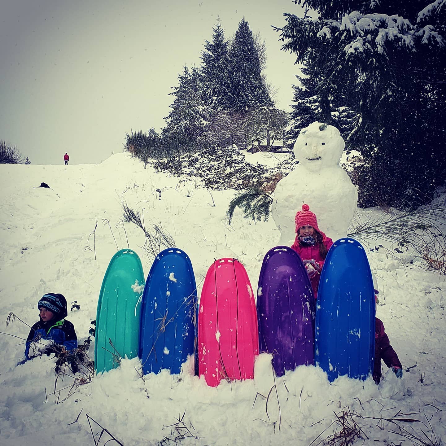 #HollywoodHill #Snow #Fortress #toltpipelinetrail #PNW #stronghold