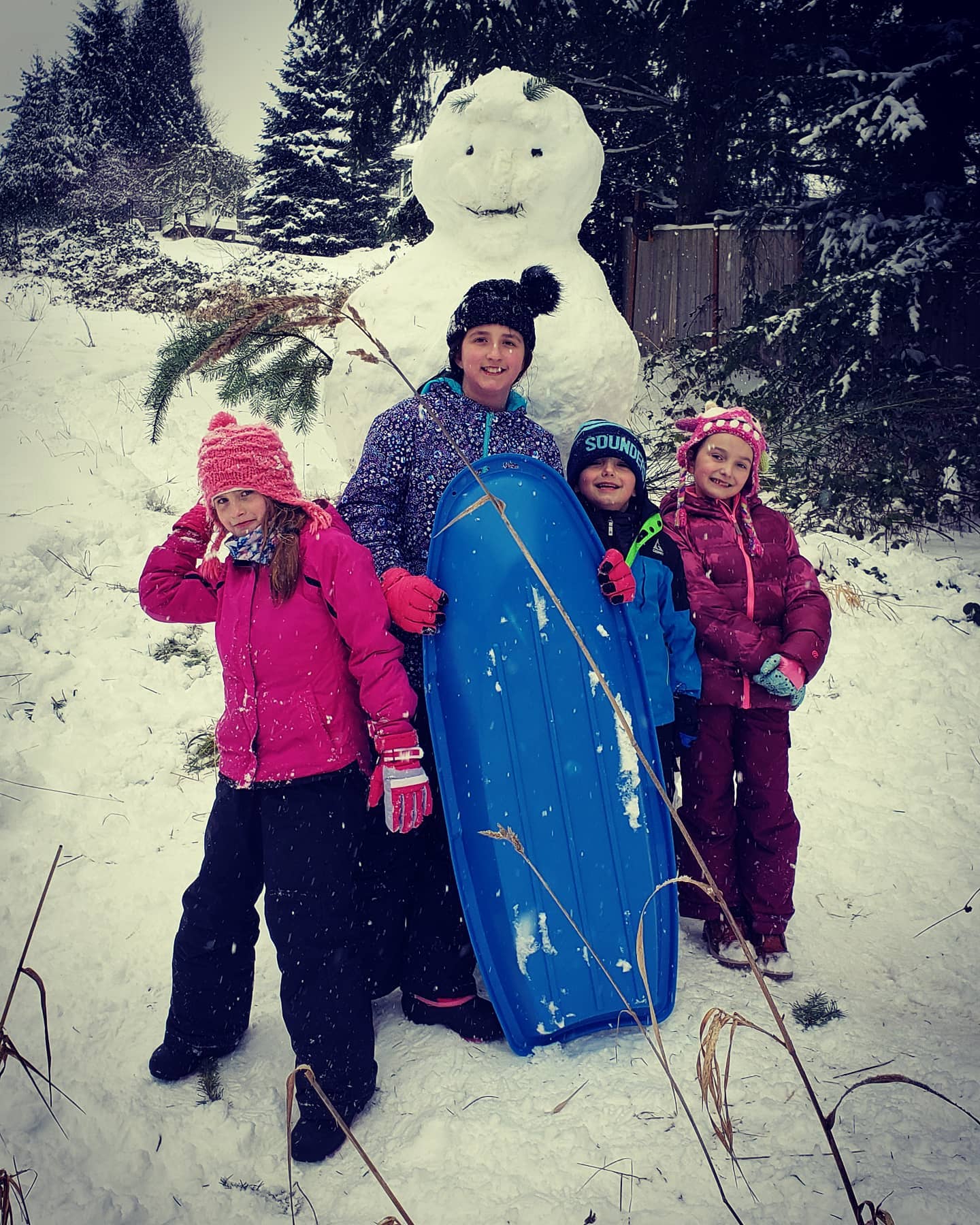 #HollywoodHill #SnowMan #toltpipelinetrail #PNW #snow