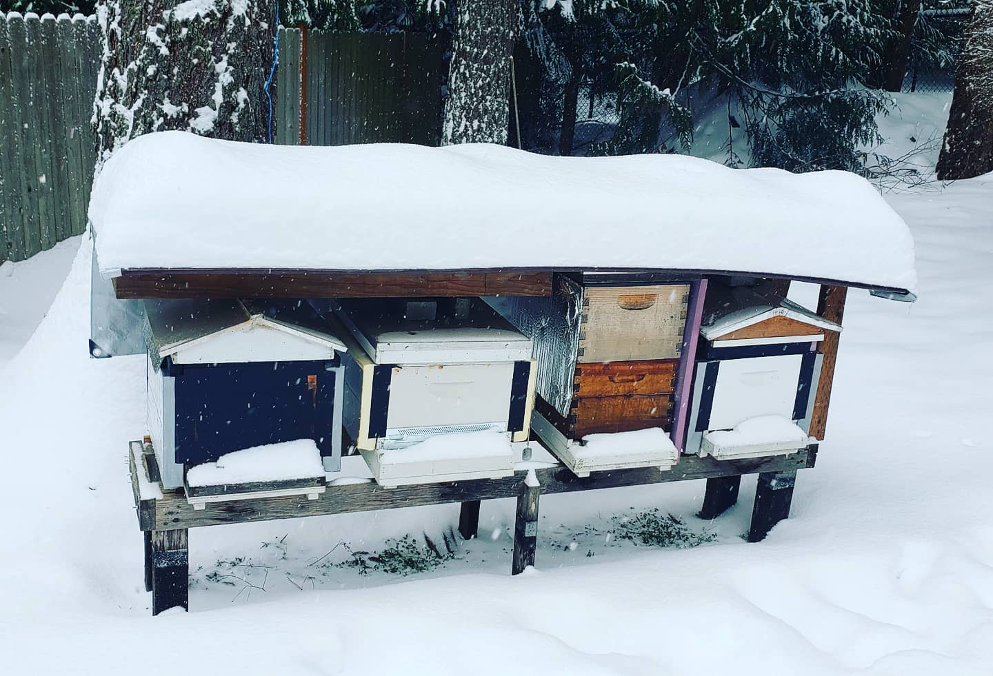 #GaleEstates #apiary #PNW #Beekeeping #hives #bees #snow